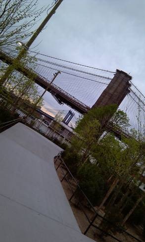 clip_image002[11]
